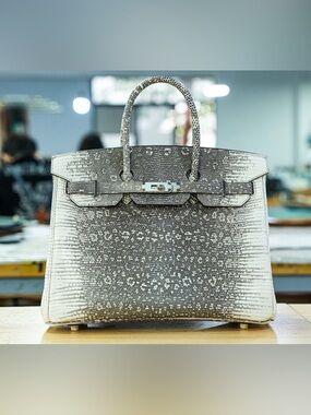 Luxury rare niloticus H Ombré embossed Salvator Lizard Birkin bag 25 PHW LE